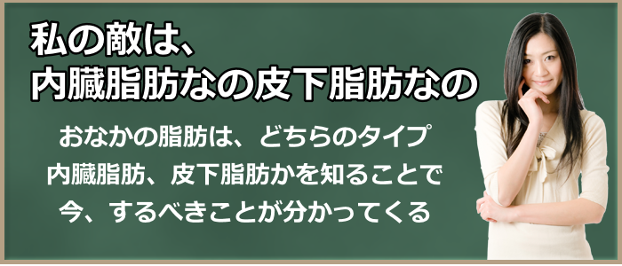 私の敵は、内臓脂肪なの、皮下脂肪なの